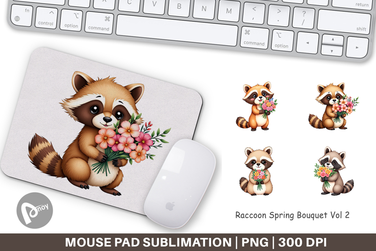 Raccoon Clipart Image 14