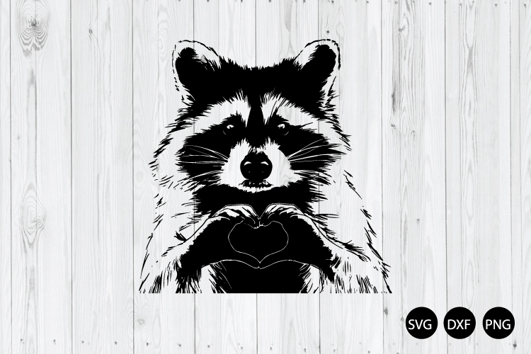 Raccoon Valentine SVG, Cute Raccoon Love SVG