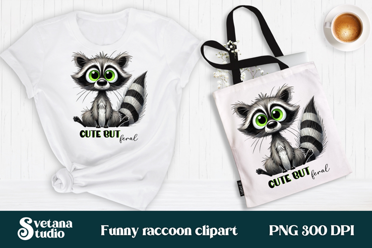 Raccoon Png Image 8