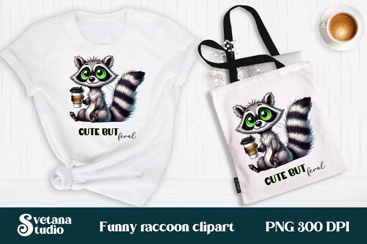 Raccoon Png Image 7