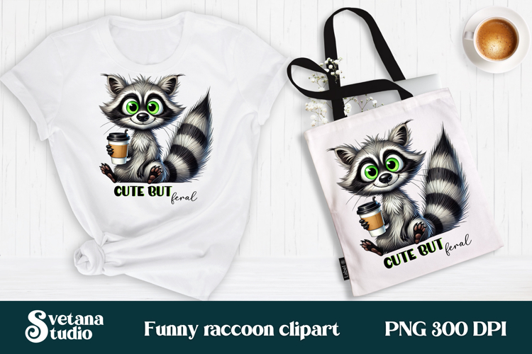 Raccoon Png Image 5