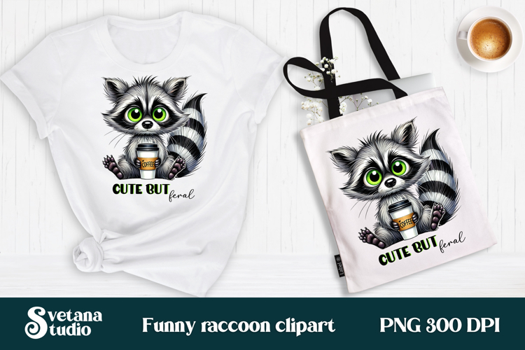 Raccoon Png Image 4