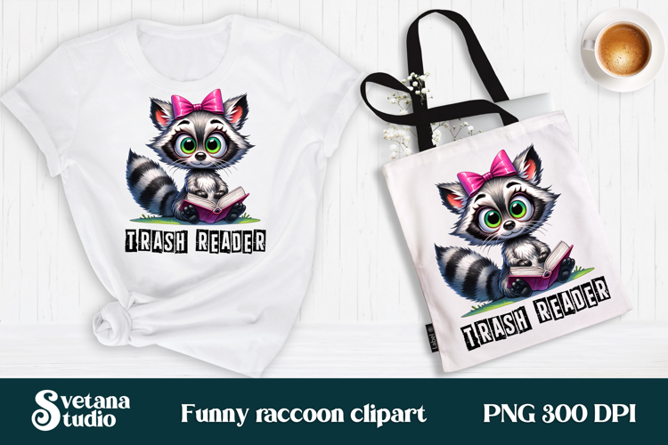 Raccoon Png Image 3