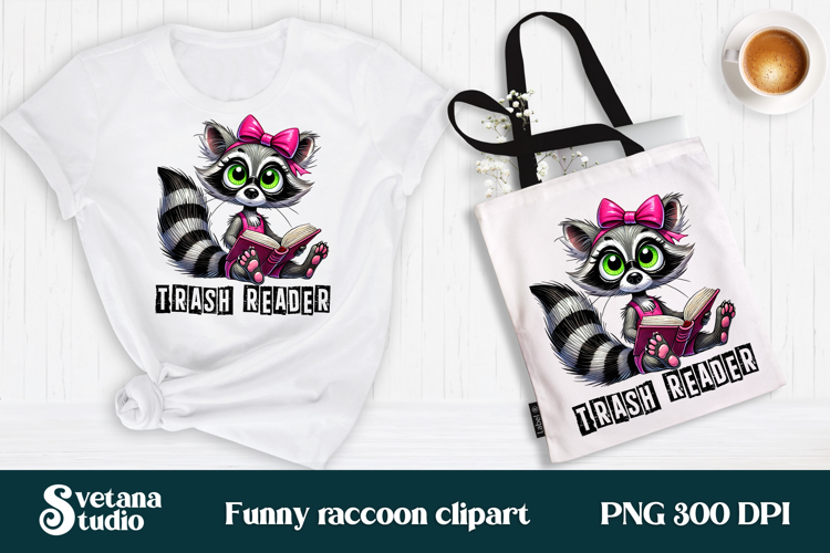 Raccoon Png Image 2