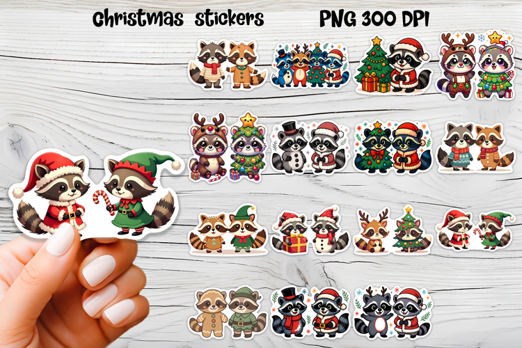 Raccoon Png Image 3