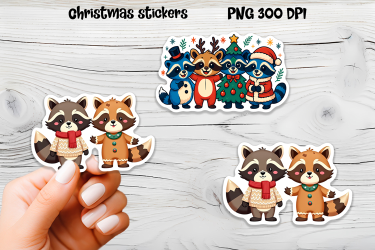 Raccoon Png Image 11