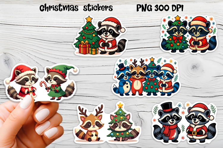 Raccoon Png Image 4
