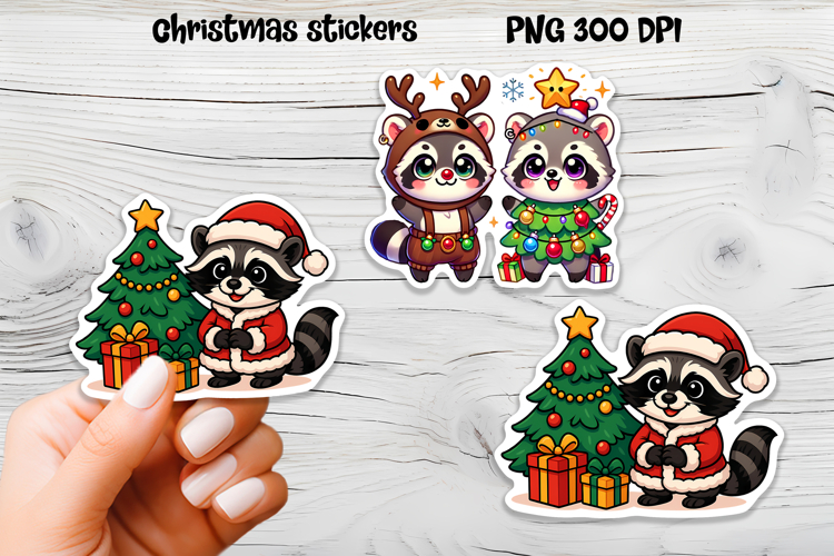 Raccoon Png Image 10