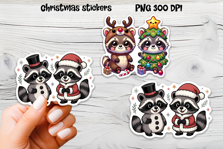 Raccoon Png Image 9