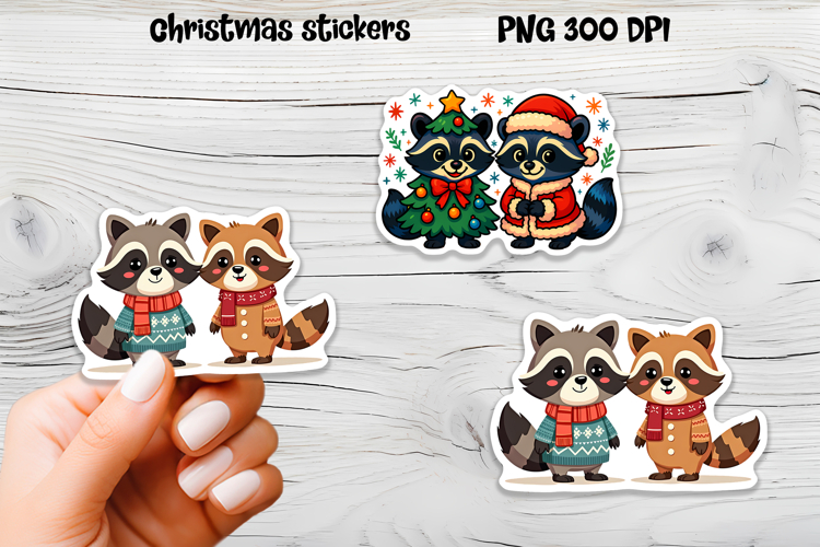 Raccoon Png Image 8