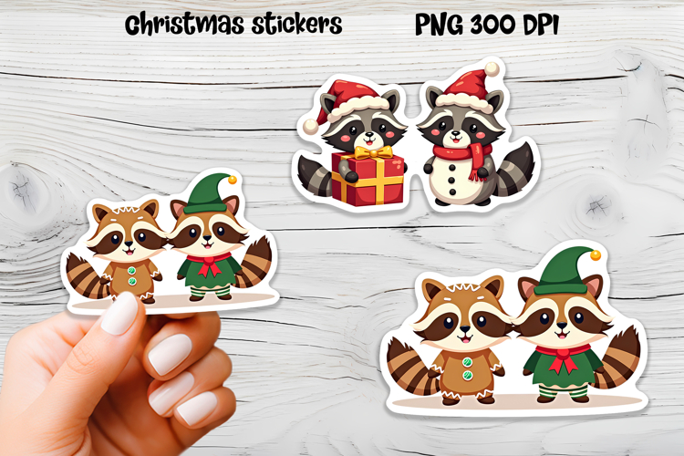 Raccoon Png Image 7