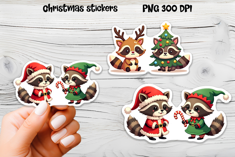 Raccoon Png Image 6