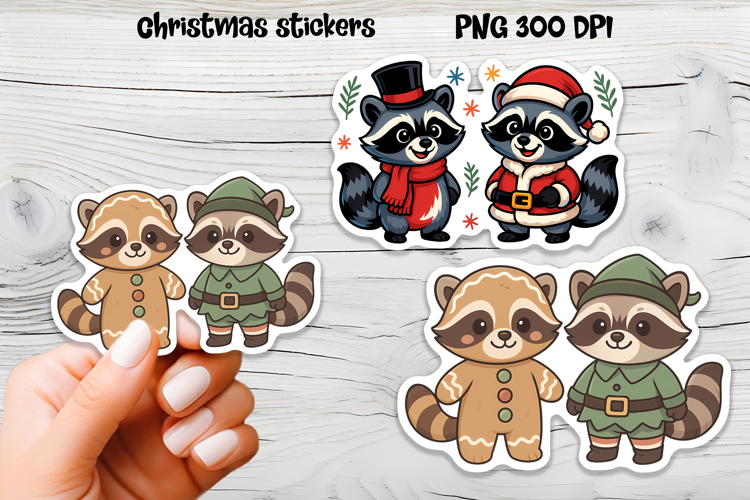 Raccoon Png Image 5