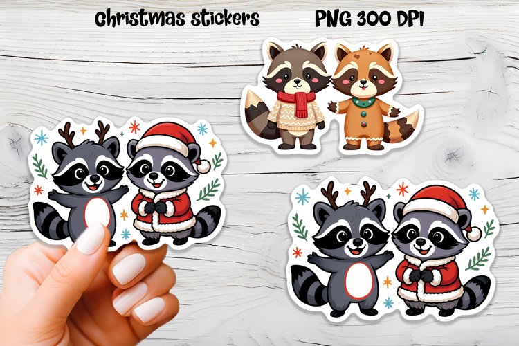 Raccoon Png Image 2