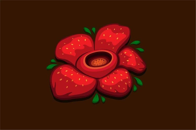 Rafflesia arnoldii corpse flower cartoon illustration ...