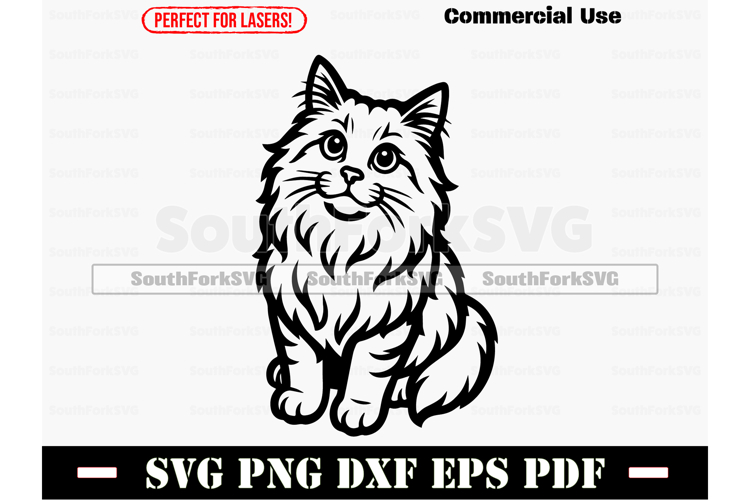 Ragamuffin Cat Begging Design SVG PNG DXF EPS PDF