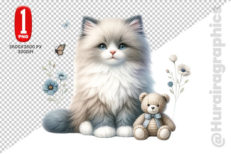 Ragdoll Cat Clipart - PNG File