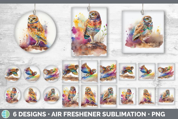 Rainbow Burrowing Owl Air Freshener Sublimation Car Freshe