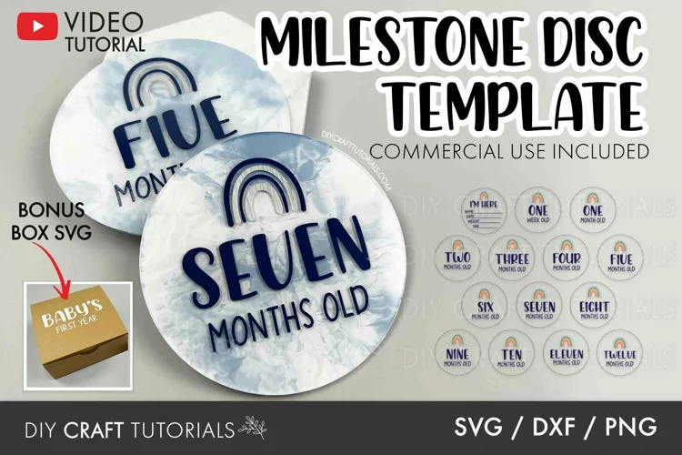 Baby Milestone SVG | Rainbow monthly Milestone Discs