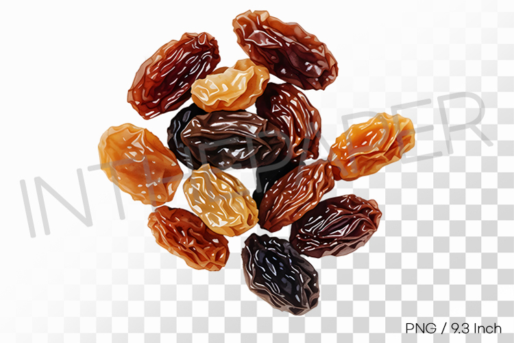 Sweet Wrinkled Dehydrated Raisin PNG Fruit Clipart Illust