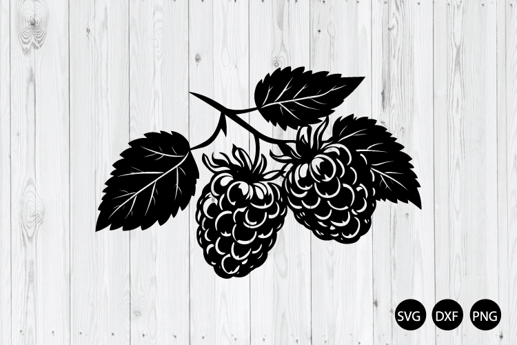 Raspberry SVG, Blackberries SVG, Fruit SVG