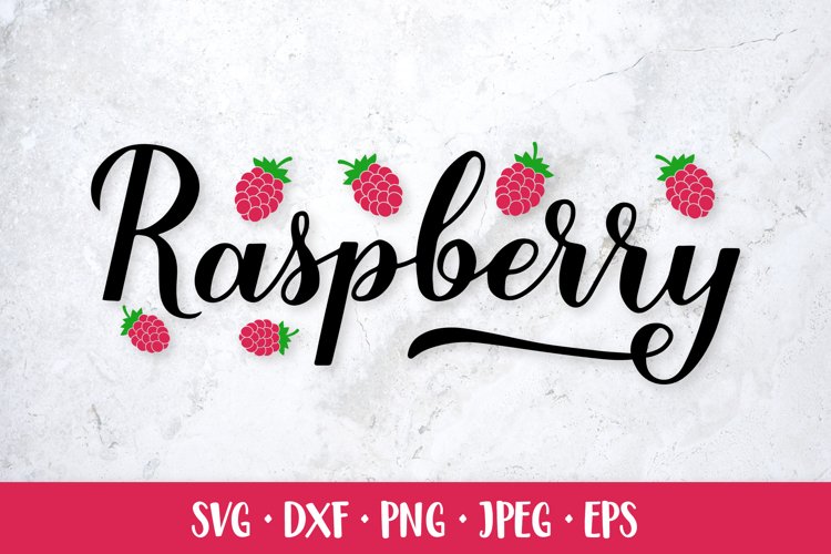 Raspberry hand lettered SVG Hand drawn berries example image 1