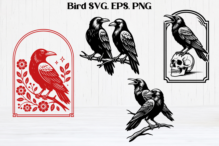 Funny raven SVG design | Bird SVG | Raven silhouette SVG