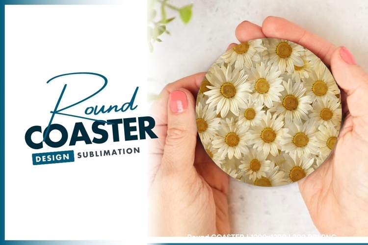 Daisies Clipart Image 20