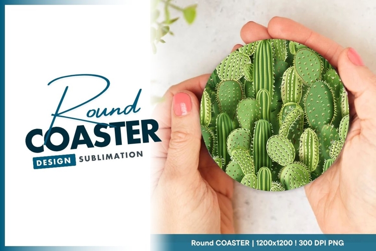 Cactus Clipart Image 15