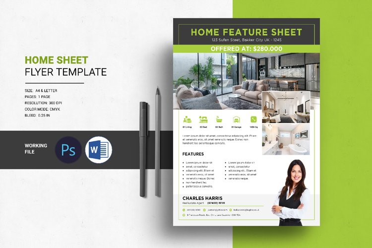 Home Sheet Flyer example image 1