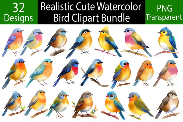 Realistic Watercolor Bird Clipart Bundle, 32 PNG designs example image 1