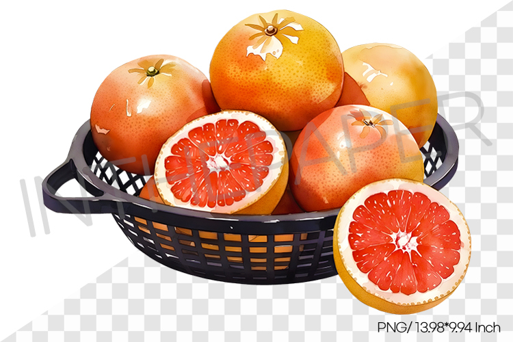 Fruit Vector Image 8