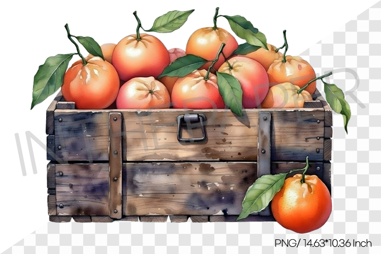 Fruit Vector Image 9