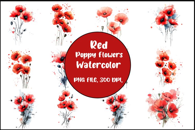 Poppy Png Image 3