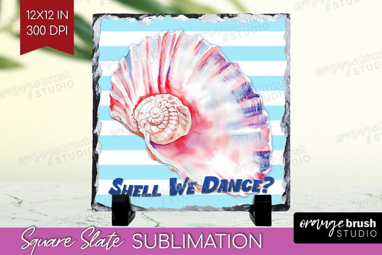 Seashell PNG Image 3
