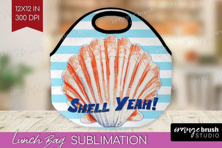 Seashell PNG Image 14