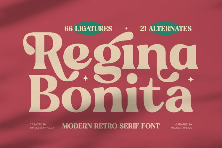 Modern Serif Font Image 15