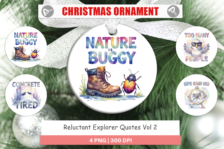Ornament Png Image 4