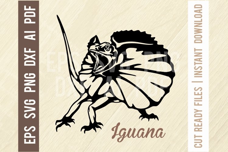 Iguana Svg, Reptiles amphibians Stencil, SVG Cut File example image 1