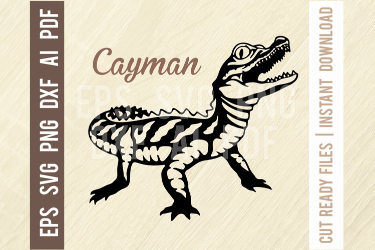 Cayman Svg, Reptiles amphibians Stencil, SVG Cut File example image 1