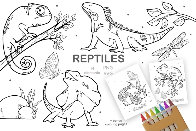 Reptiles Silhouette Clipart, Coloring Sheets PDF