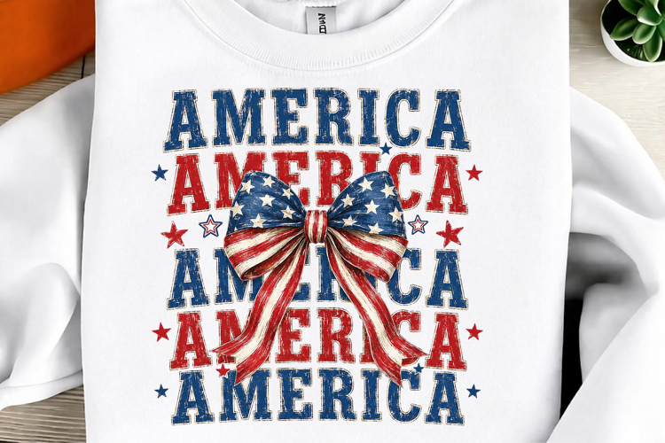 Usa PNG Image 21