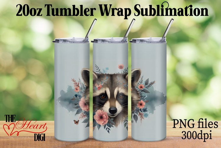 Raccoon Clipart Image 19