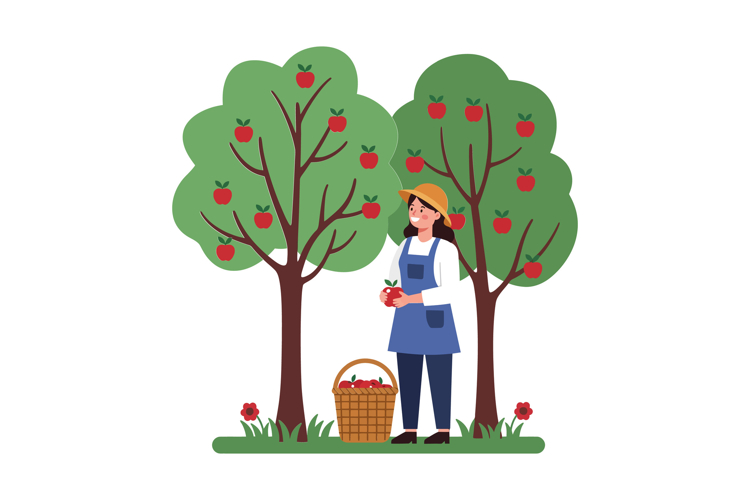 Apple Basket Clipart Image 12