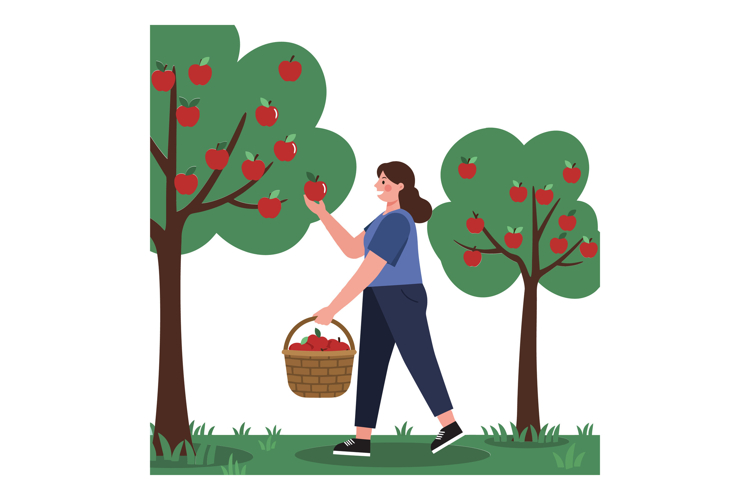 Apple Picking Clipart Image 20