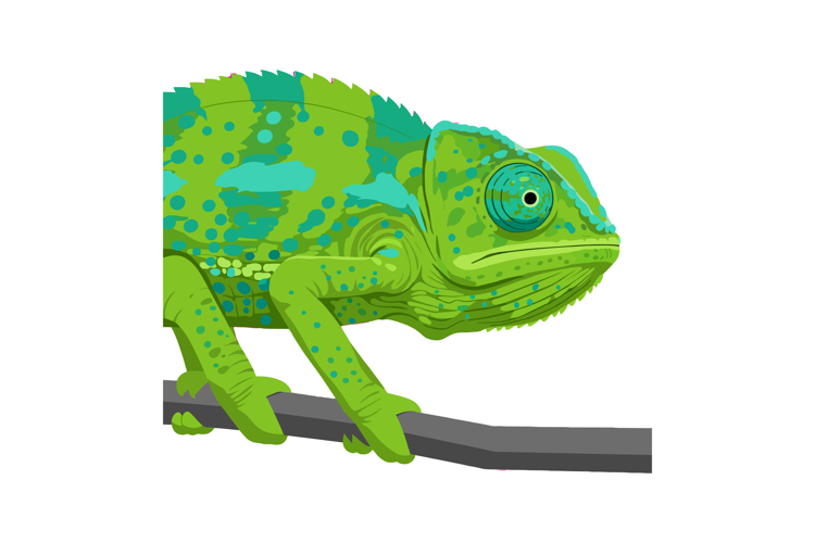 Reptile Clipart Image 9