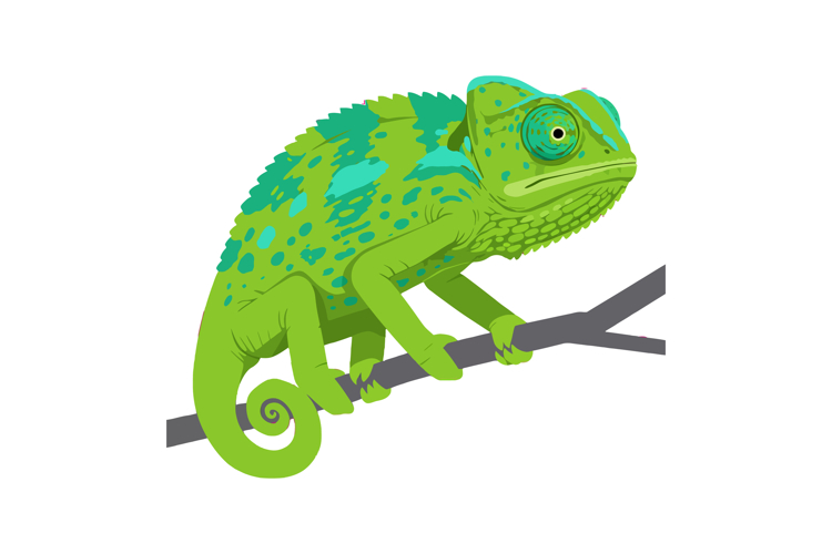 Reptile Clipart Image 8