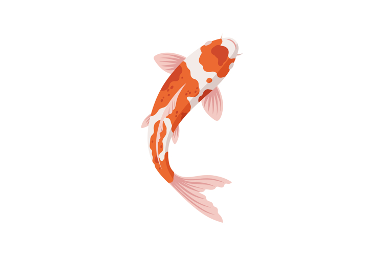 Fish Clipart Image 13