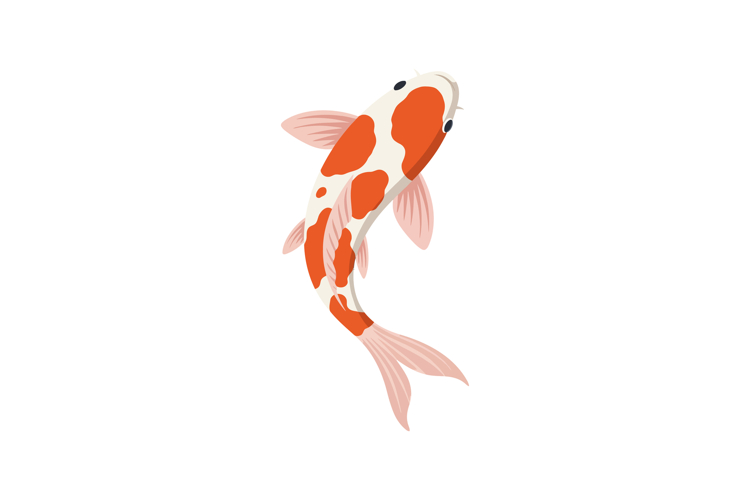 Swimming Illustration Image 5