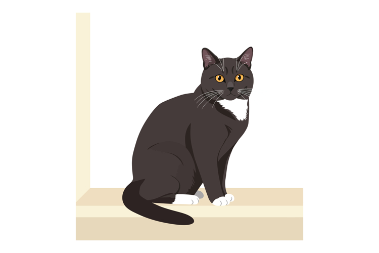 Black And White Cat Clipart Image 2